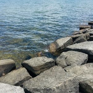 Meet your Posher, Ava